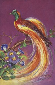 Tropical or Exotic Bird by European School
